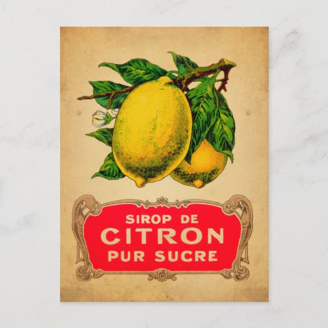 Poster lemon, lemon, fruit, lemon, green, yello postcard (Front)