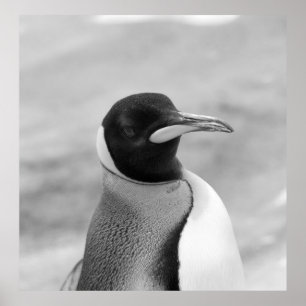 Poster "L'empereur Penguin"
