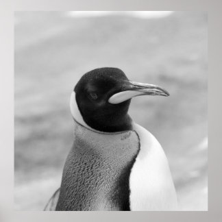 Poster "L'empereur Penguin"