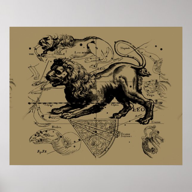 Poster Leo Constellation Hevelius 1690 Juillet 23 - 22 ao (Devant)