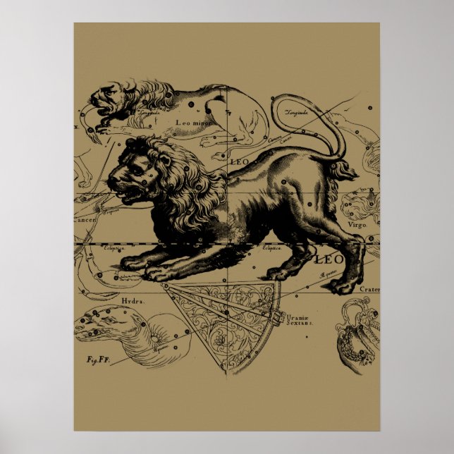 Poster Leo Constellation Map Hevelius 1690 sur Taupe (Devant)