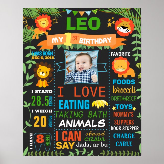 Poster Leo Lions Jungle animaux Fête d'anniversaire sauva (Devant)