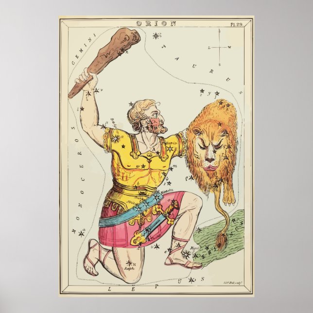 Poster Leo - Orion - Constellation - Étoiles (Devant)
