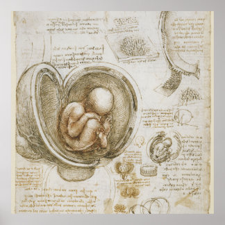 Poster Léonard de Vinci