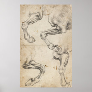 Poster Léonard Étudier Pour Les Jambes De Cheval