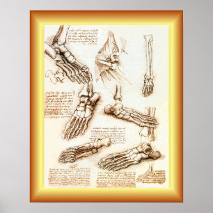 Poster Leonardo da Vinci ~ Anatomie des pieds ~