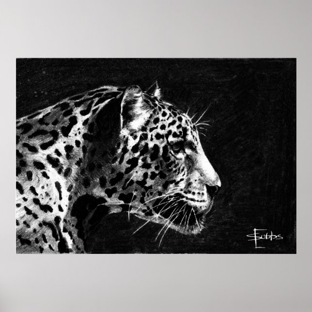 Poster Leopard (Devant)