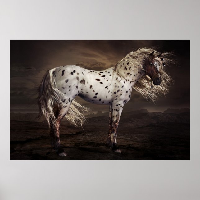 Poster Leopard Appaloosa (Devant)