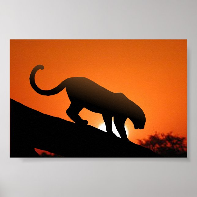 Poster Leopard dans l'arbre (Devant)
