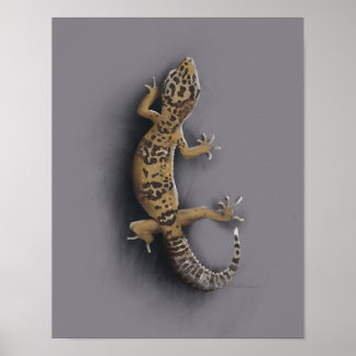 Poster Léopard de gecko