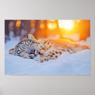 Poster Léopard des neiges Animal sauvage Environnement na