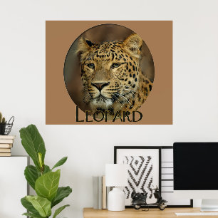 Poster Leopard Lovers