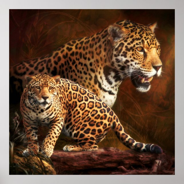 POSTER LEOPARD "NUIT SAUVAGE" (Devant)