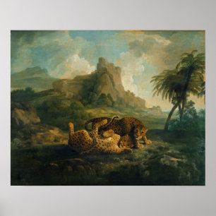 Poster Léopards de George Stubbs   au jeu, c.1763-8