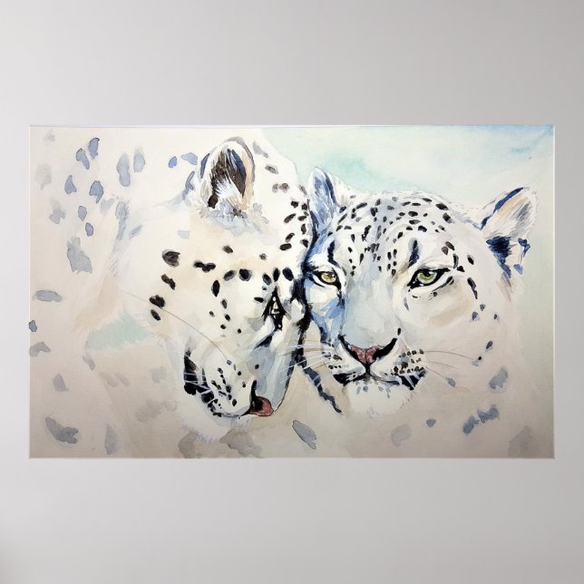 Poster Léopards des neiges (Devant)