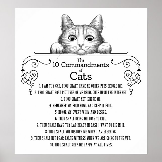Poster Les 10 commandements de chats amusants (Devant)