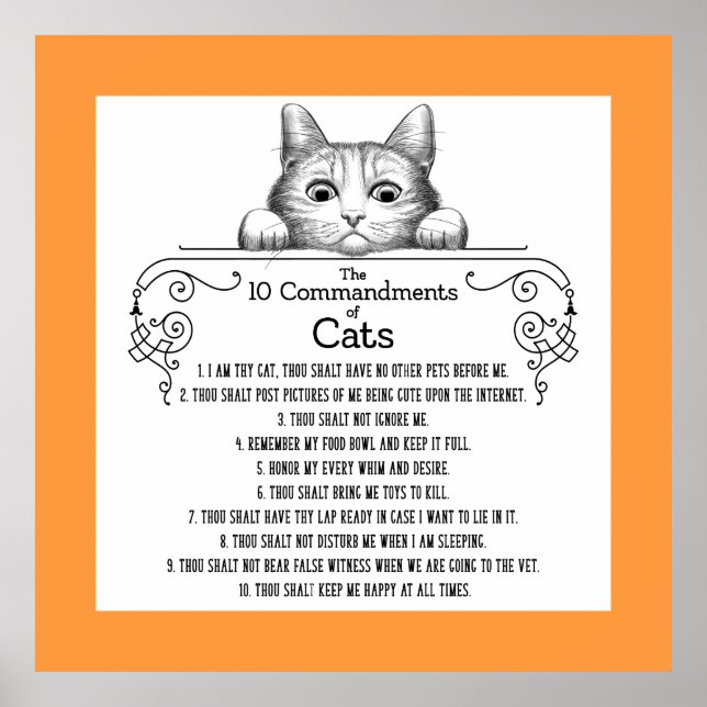 Poster Les 10 commandements de chats amusants (Devant)