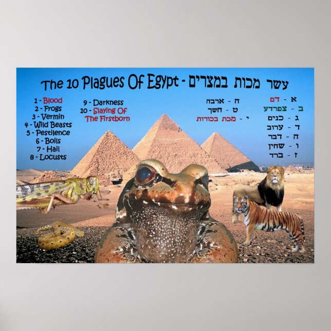 Poster Les 10 Plaies De L'Egypte - Anglais & Hébreu (Devant)