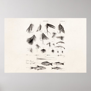 Poster Les 1800s vintages pêchant la pêche de mouche