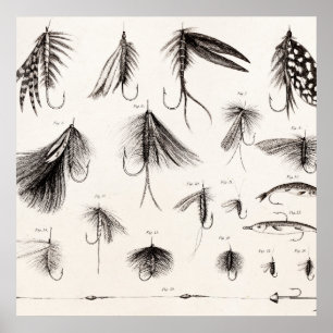 Poster Les 1800s vintages pêchant la pêche de mouche