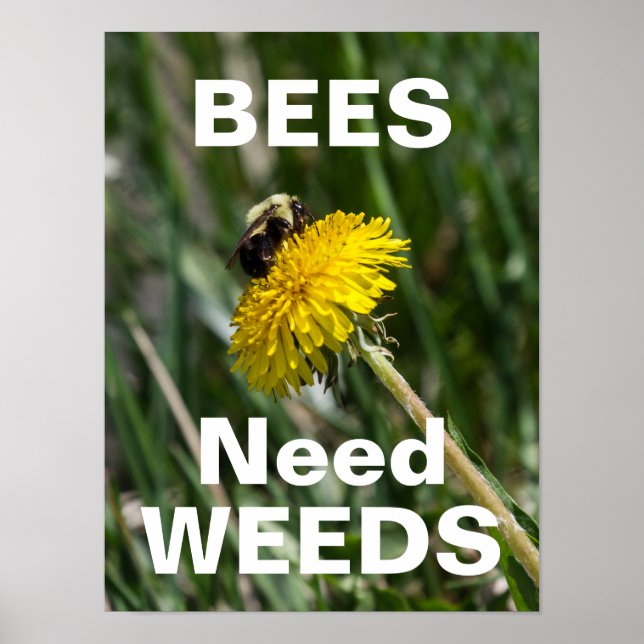 Poster Les abeilles ont besoin de mauvaises herbes (Devant)