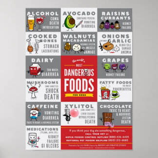 Poster Les aliments pour chiens les plus dangereux au mon