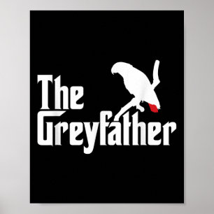 Poster Les amateurs de perroquets gris-africains grises B