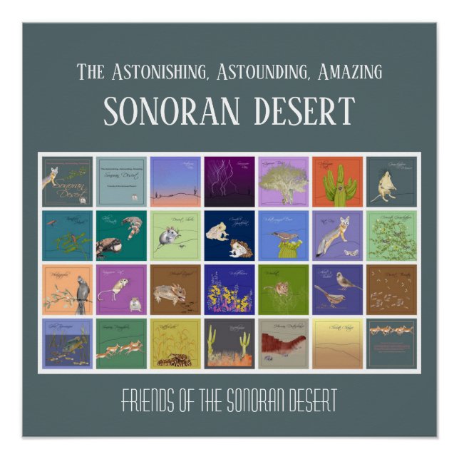Poster Les amis du désert de Sonoran (Devant)