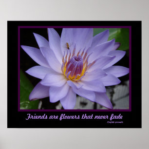 Poster Les amis sont Fleurs Amitié Purple Water Lily
