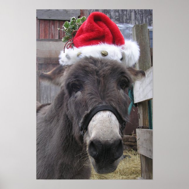 Poster "Les ânes font de superbes Santas !" (Devant)