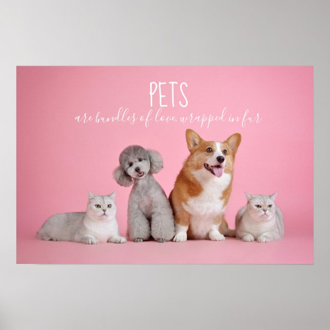 Poster Les Animaux De Compagnie Sont Des Uns D'Amour // C (Devant)