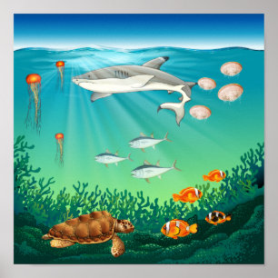 Poster Les animaux marins nageant sous la mer