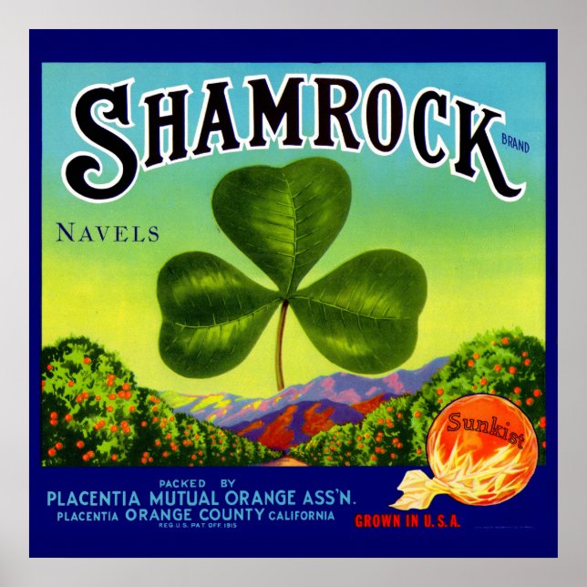 Poster Les années 1930 étiquette  Shamrock Navel Oranges (Devant)