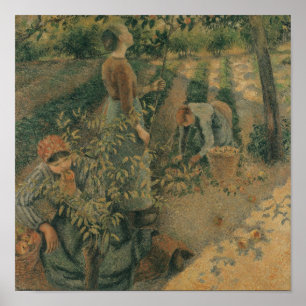 Poster Les Apple Pickers, 1886