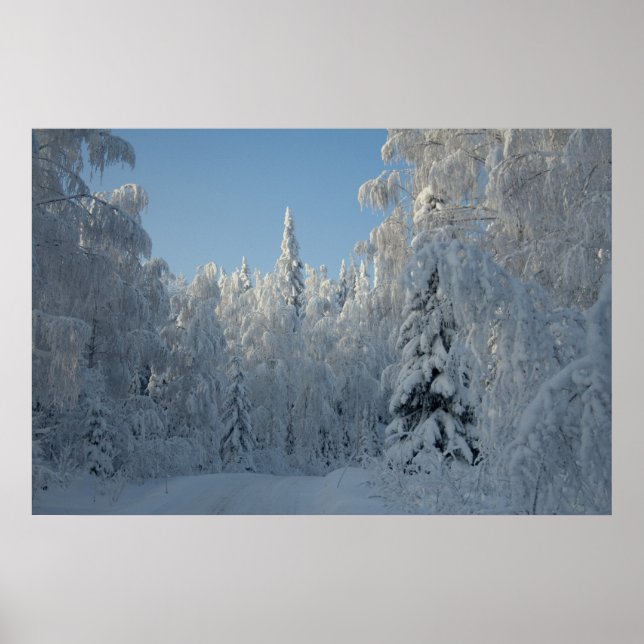 Poster Les arbres couverts de neige (Devant)