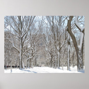 Poster Les arbres neigeux à Central Park