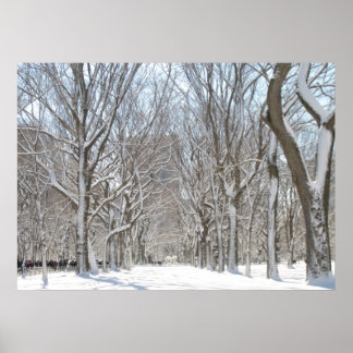 Poster Les arbres neigeux à Central Park