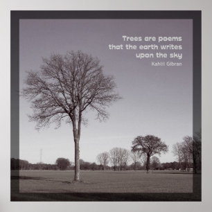 Poster Les arbres sont des poèmes