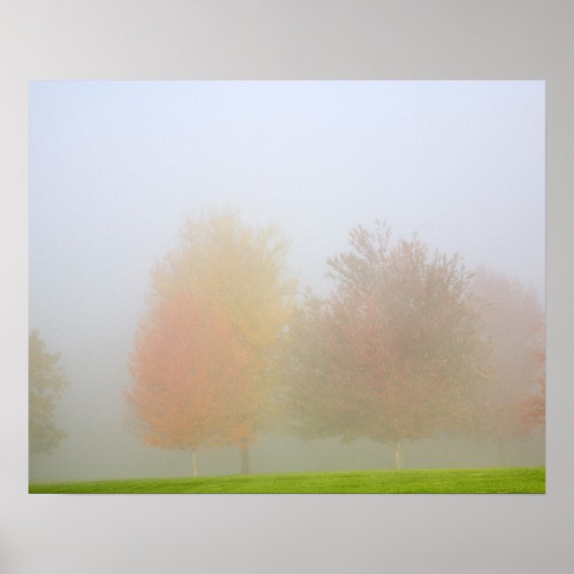 Poster Les arbres tombants noyés dans la brume (Devant)