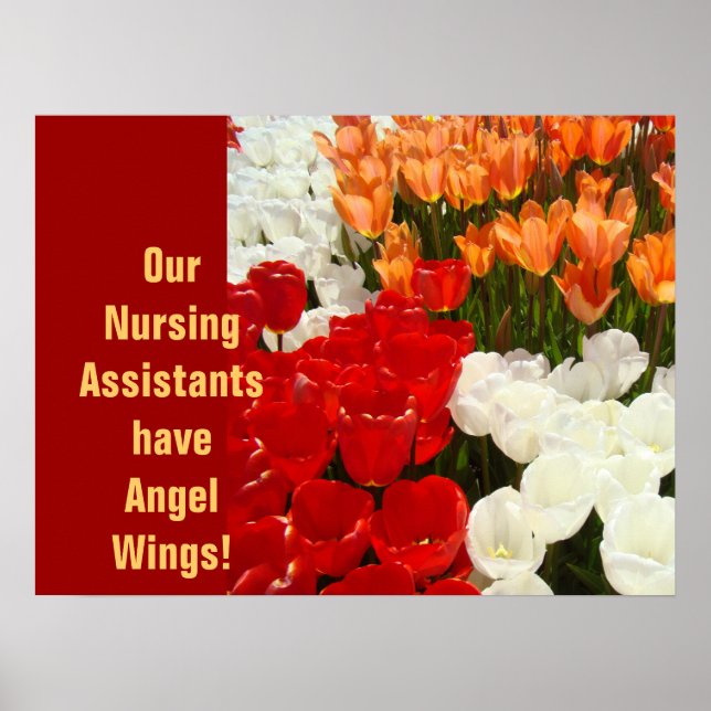 Poster Les assistants infirmiers ont Angel Wings CNA Week (Devant)