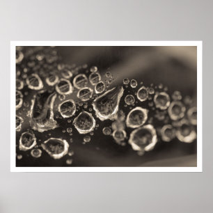 Poster les baisses de chaussure