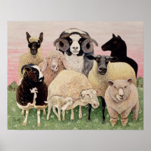 Poster Les bergers enchantent