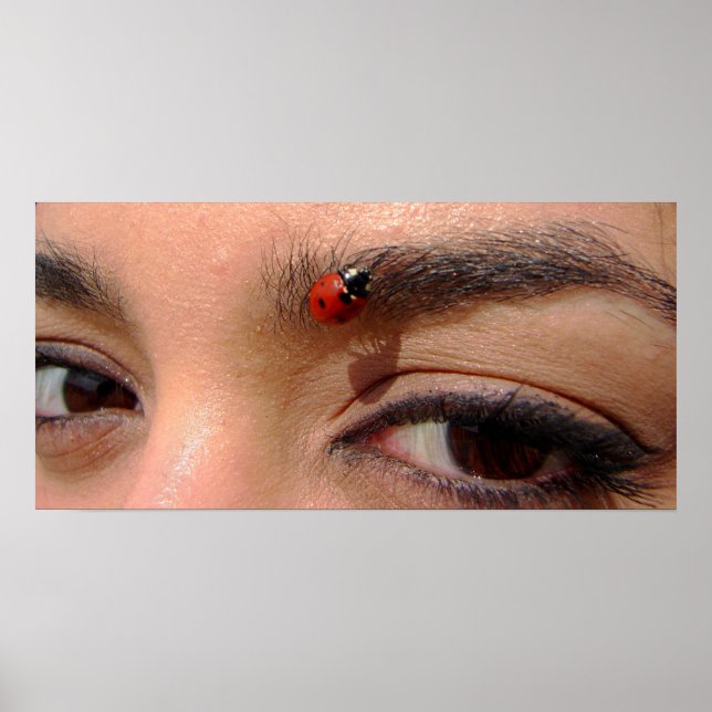 Poster Les bijoux de la nature (Devant)