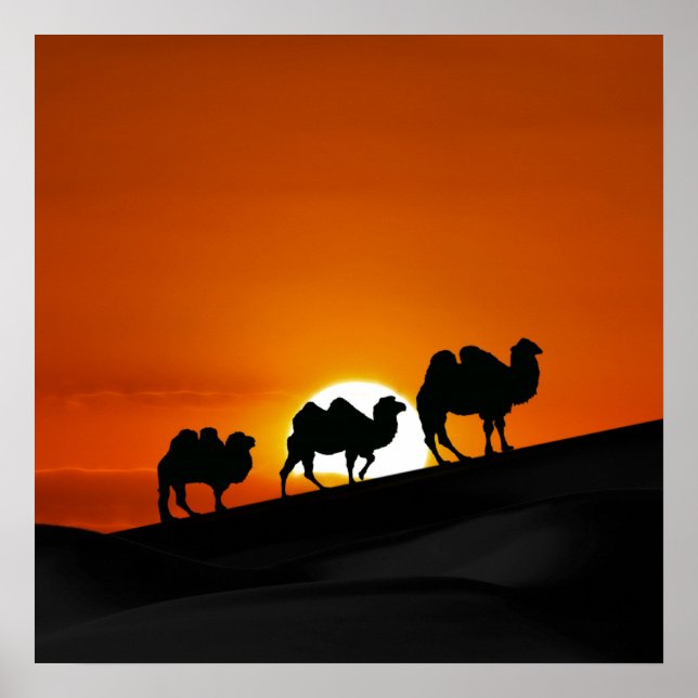 Poster Les camps du désert au coucher du soleil (Devant)