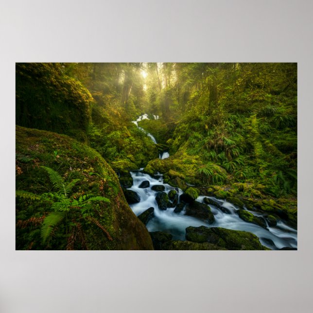 Poster Les cascades | Parc National Olympique, Washington (Devant)