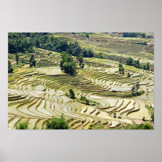Poster Les célèbres terrasses de riz yuanyang - Yunnan, C (Devant)