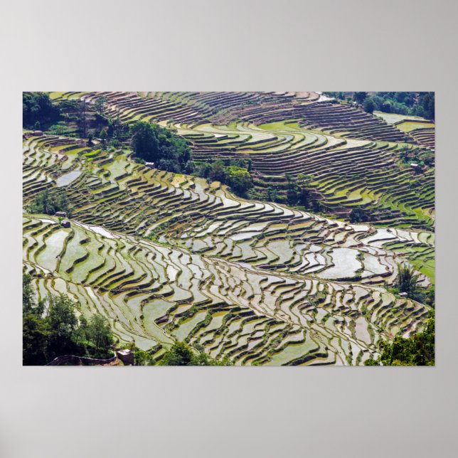 Poster Les célèbres terrasses de riz yuanyang - Yunnan, C (Devant)
