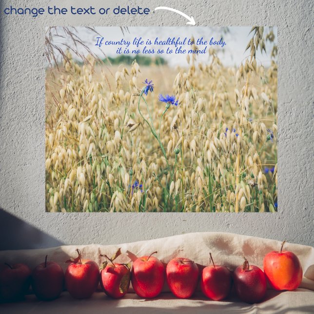 Poster Les champs d'été ensoleillés (Créateur téléchargé)