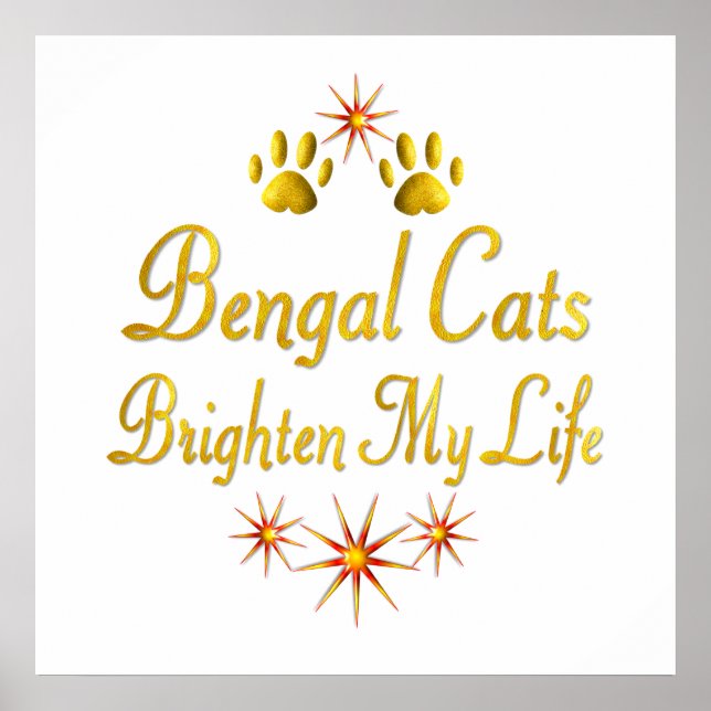 Poster Les chats du Bengale éclairent ma vie (Devant)