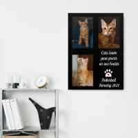 Les chats laissent des empreintes | Collage de pho